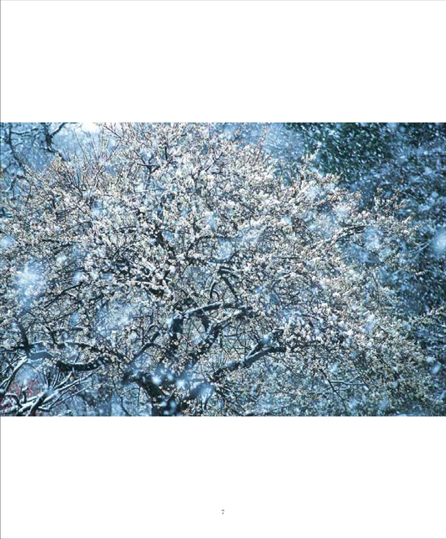BEAUTIFUL JAPAN (日本人の原風景)