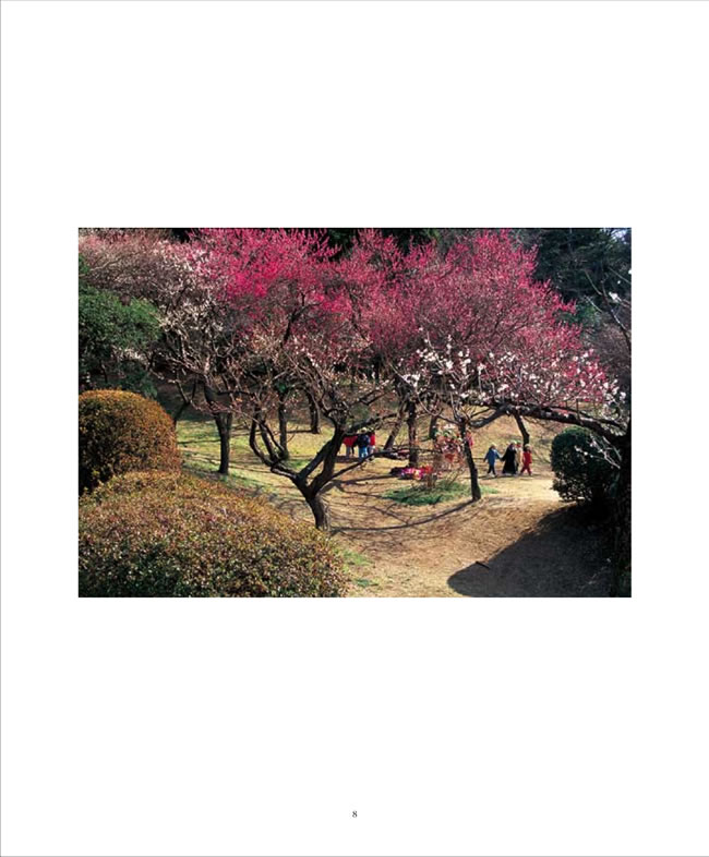 BEAUTIFUL JAPAN (日本人の原風景)