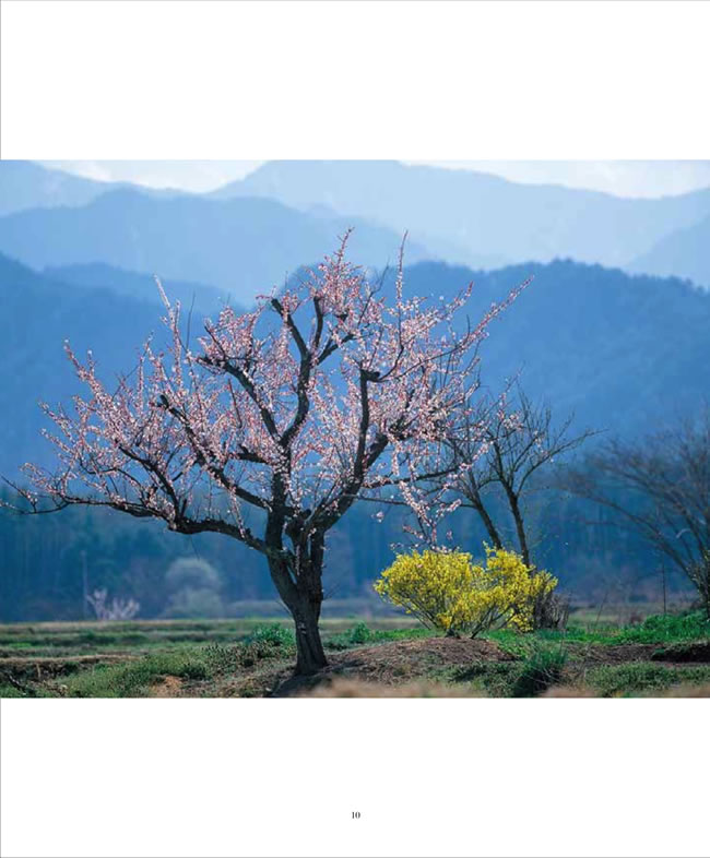 BEAUTIFUL JAPAN (日本人の原風景)