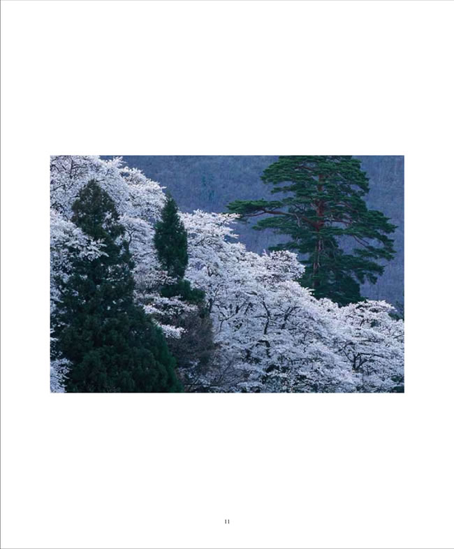 BEAUTIFUL JAPAN (日本人の原風景)