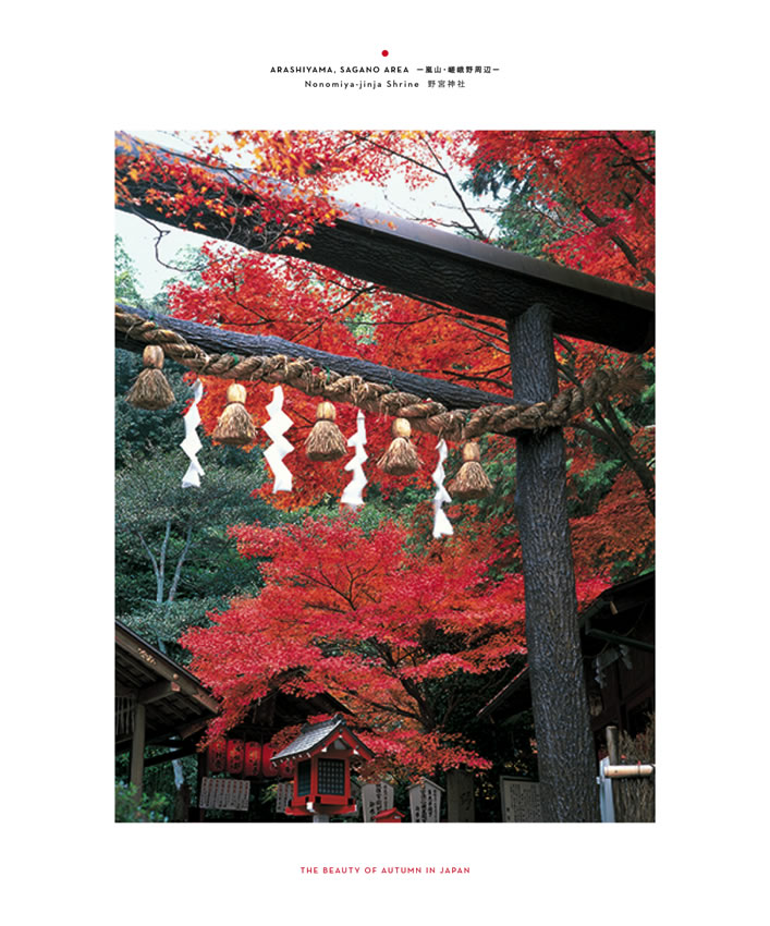 紅葉