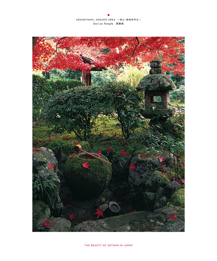 紅葉