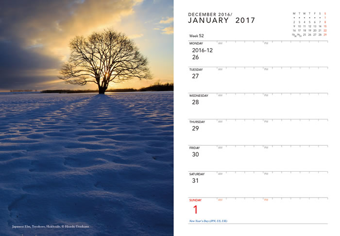 JAPAN DESK DIARY 2017