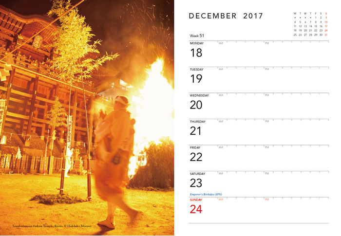JAPAN DESK DIARY 2017