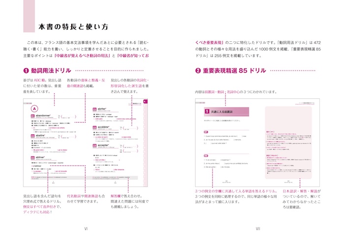 フランス語の応用力をしっかり育てる！解いて力がつく久松式ドリル　中級編
