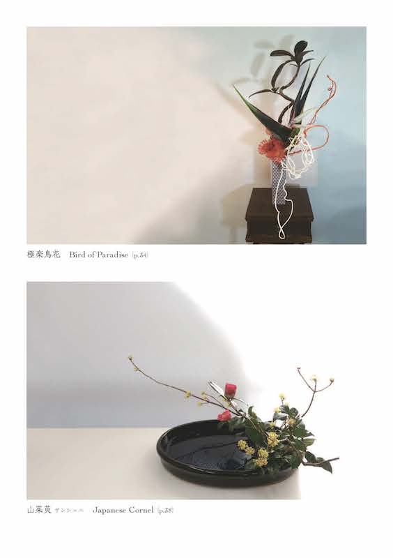 いけばな　花の話を聞くとき