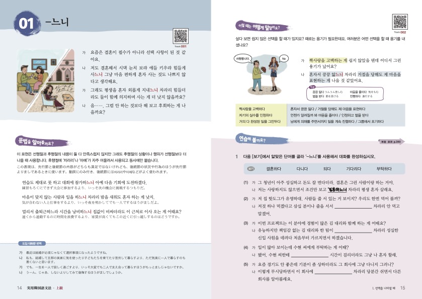 実用韓国語文法<上級>