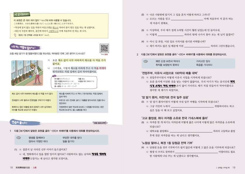 実用韓国語文法<上級>