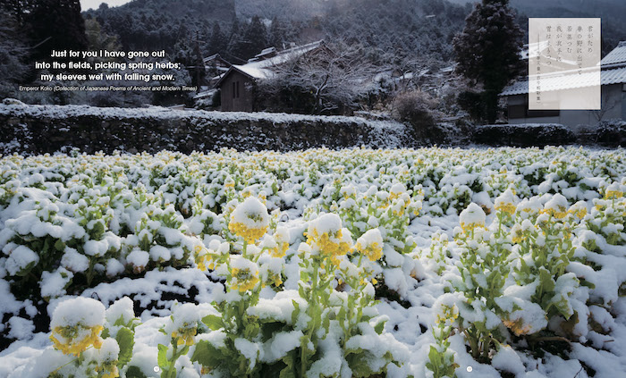 写歌　PhotoPoetry/対訳ニッポン双書/IBCパブリッシング)