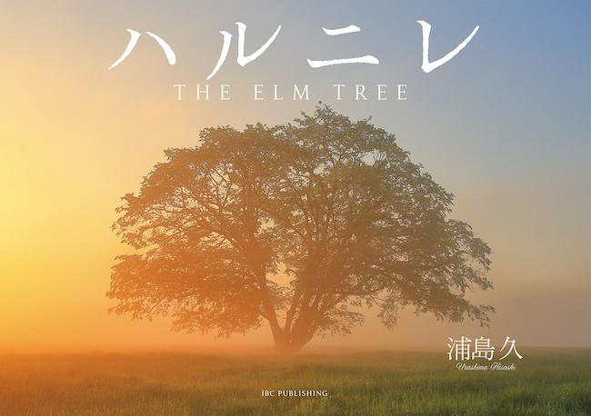 ハルニレ　THE ELM TREE /  (日本写真集・ガイドブック/IBCパブリッシング)表紙