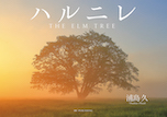 ハルニレ THE ELM TREE