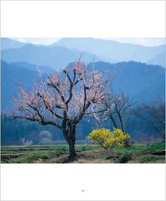BEAUTIFUL JAPAN (日本人の原風景)