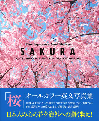SAKURA: The Japanese Soul Flower SAKURA: The Japanese Soul Flower/水野克比古 (日本写真集・ガイドブック/IBCパブリッシング)表紙